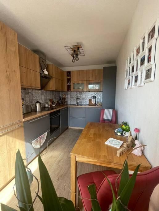 Dresden Escape Schicke 2 Zimmer Wohnung Екстериор снимка